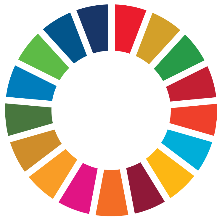 SDG Wheel_Transparent_WEB.png