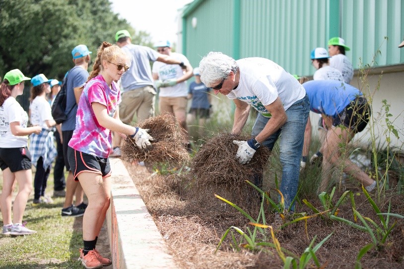 WEF Service Project 2018