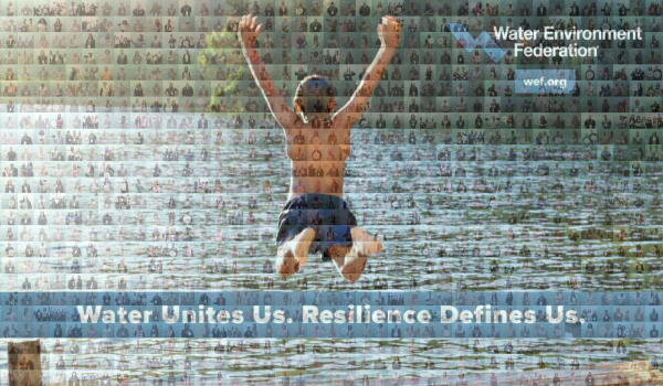 wef mosaic pic 1 (1).png