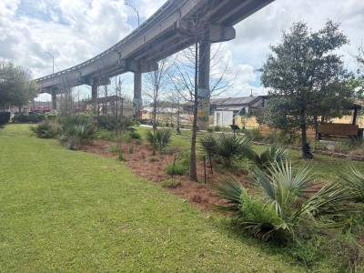 FT5 - Vision 2 Reality Stormwater Park.jpg